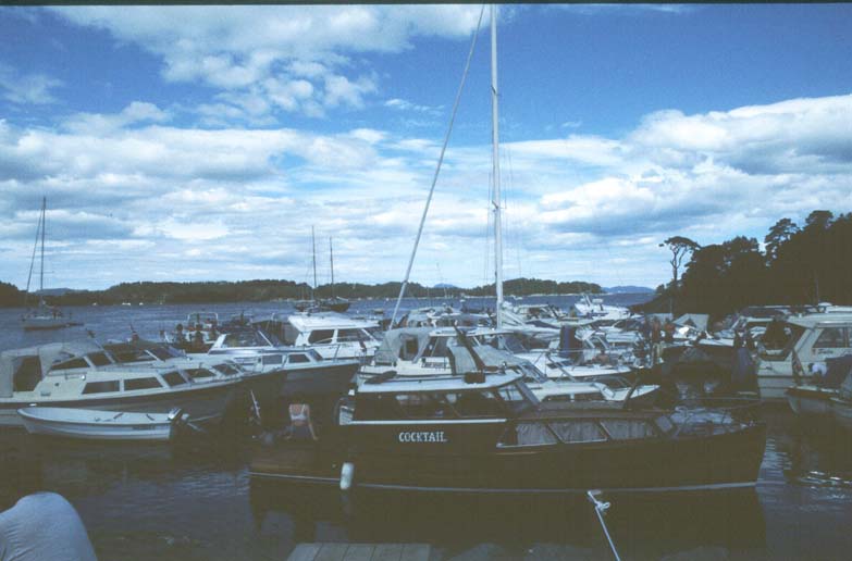 99-Svanøy