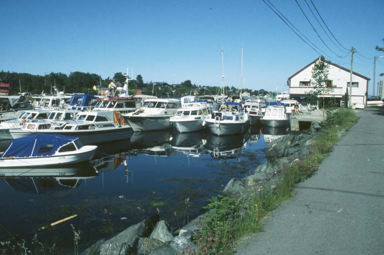 99-stavang-02