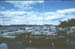 99-Svanøy