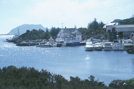VK-00-N-Fanoya