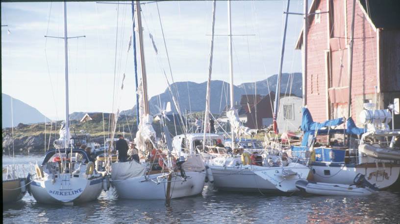 Veiking-2000-Seilbater-Rognaldsvaag