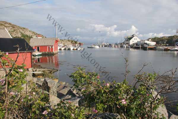 barekstad-58
